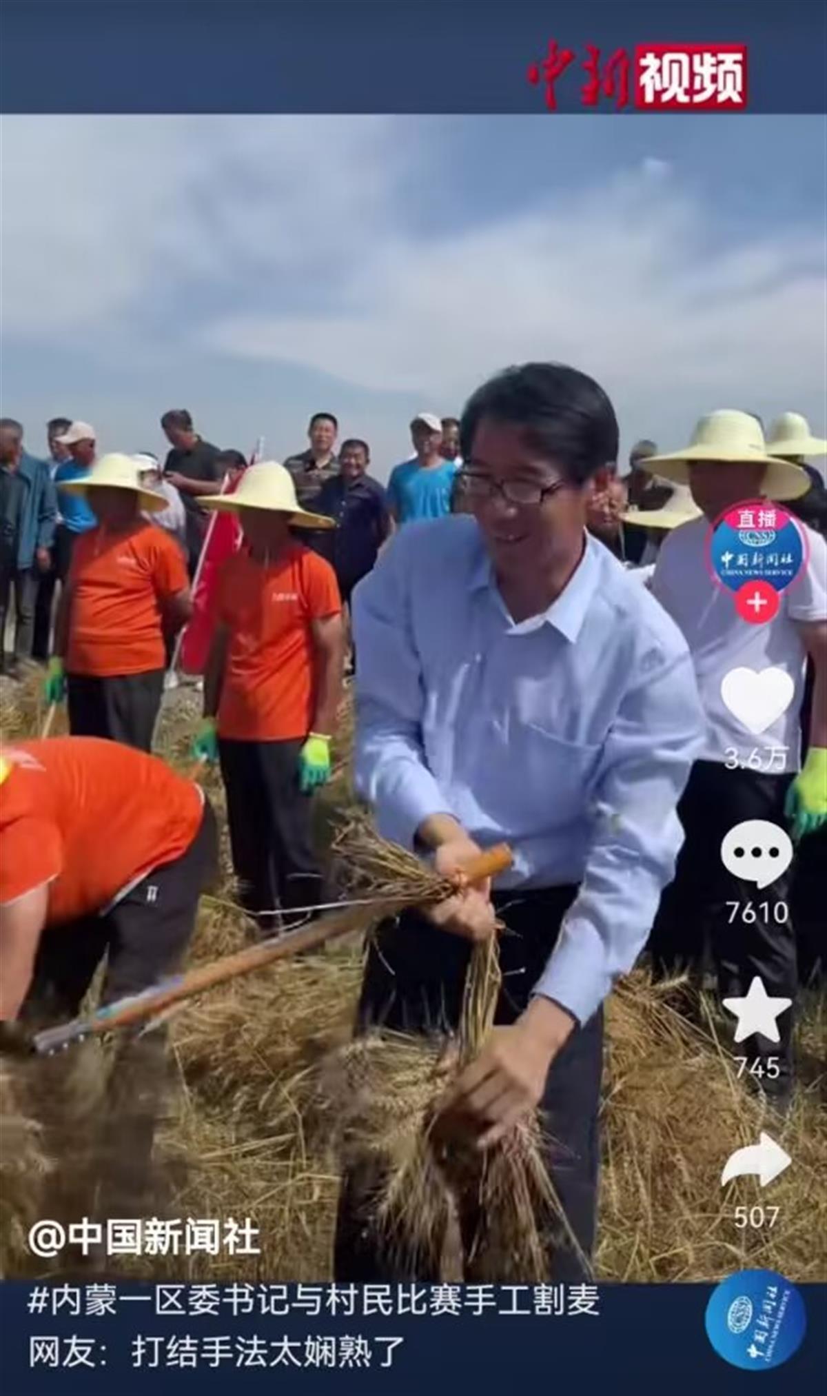 内蒙古一区委书记与村民比赛手工割麦子爆红，网友称赞：手法太娴熟了，接地气！2