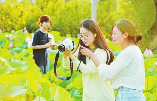游客正在拍照赏花。记者 陈久玲 摄
