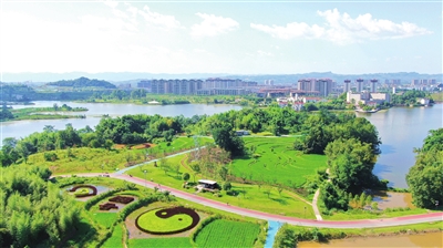 1双桂湖国家湿地公园，彩色“稻田画”与绿植、湖水、楼房交相辉映。记者 郑君兴 摄