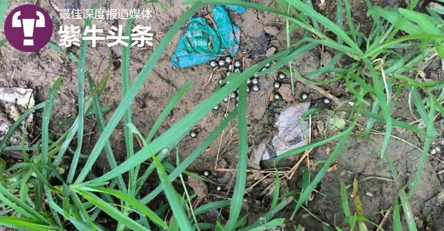 8岁女童左眼被两男孩用钢珠射伤失明：妈妈，我的眼睛什么时候能好啊1