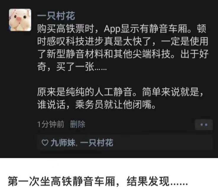 这个暑假高铁静音车厢火了!网友:纯靠人工静音,“想静静”为何那么难3