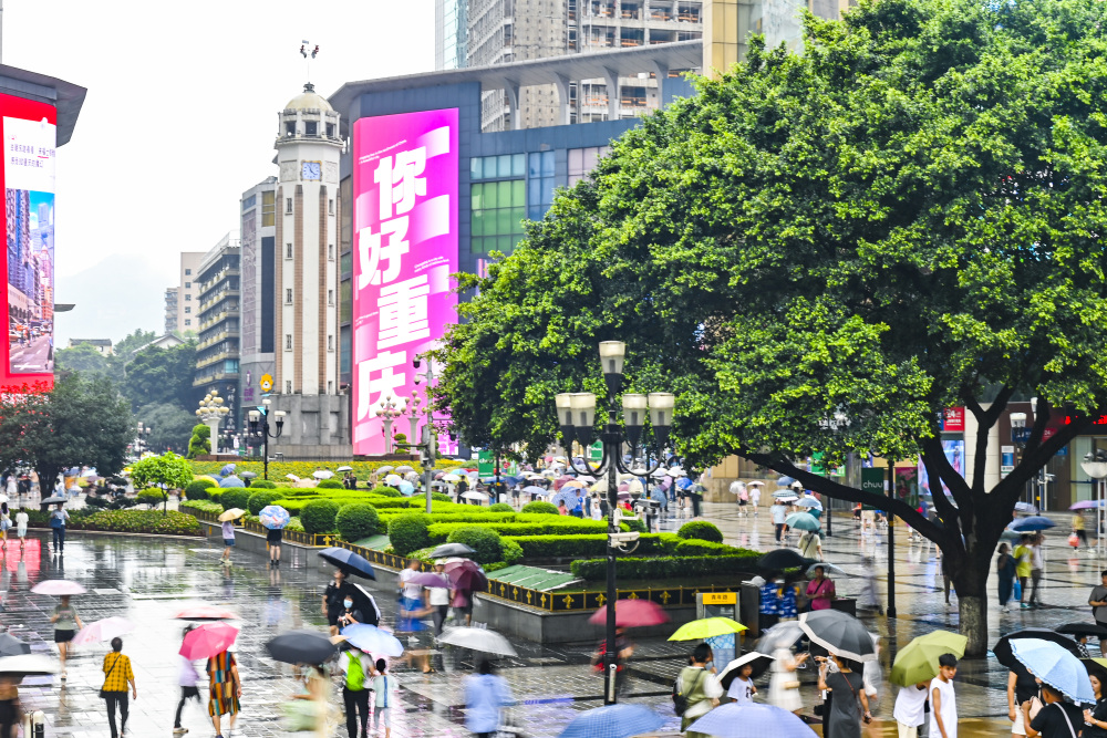 图集|重庆再迎强降雨6