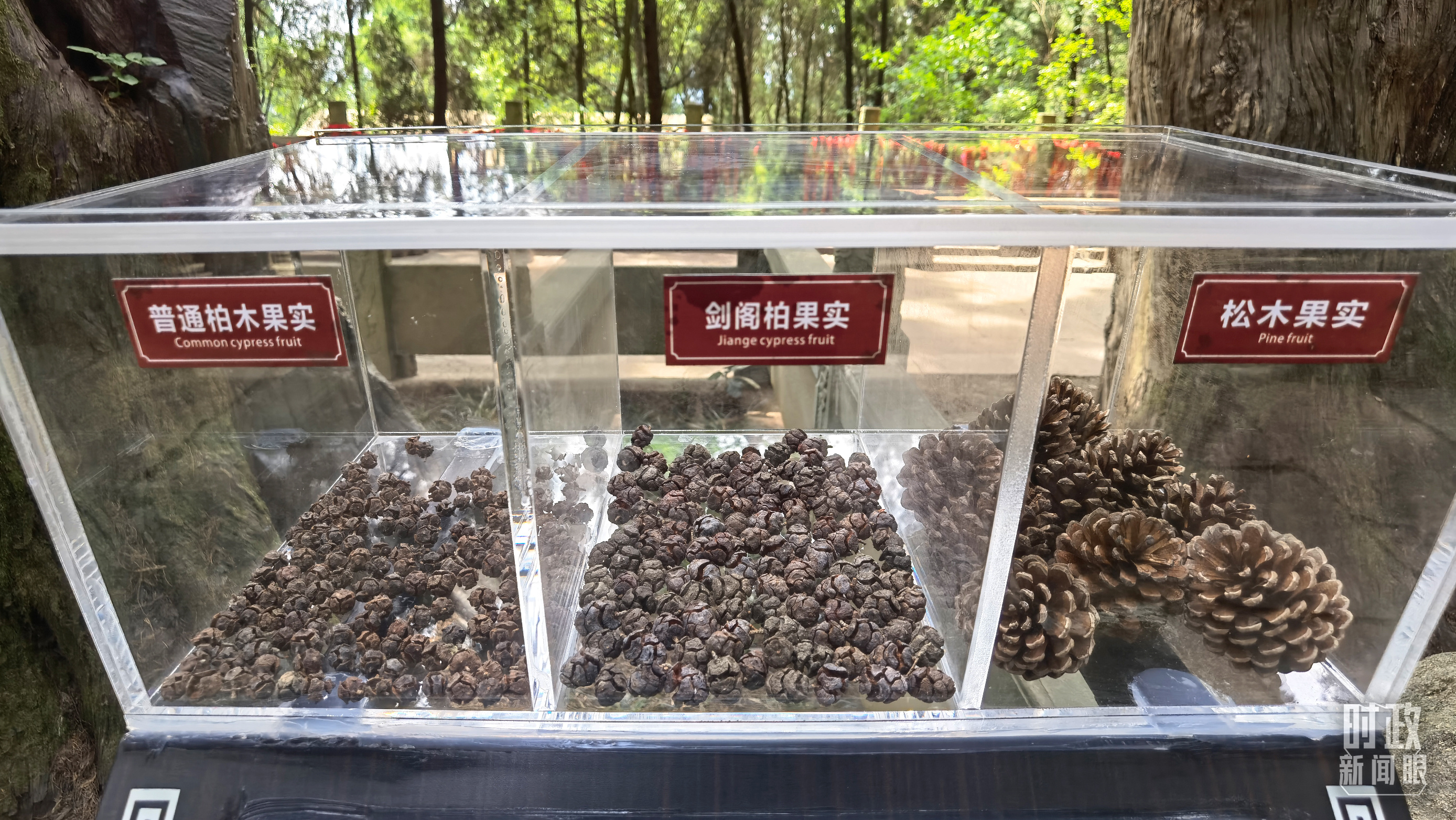 时政新闻眼丨习近平再赴四川,为何专程看了这两个地方?18
