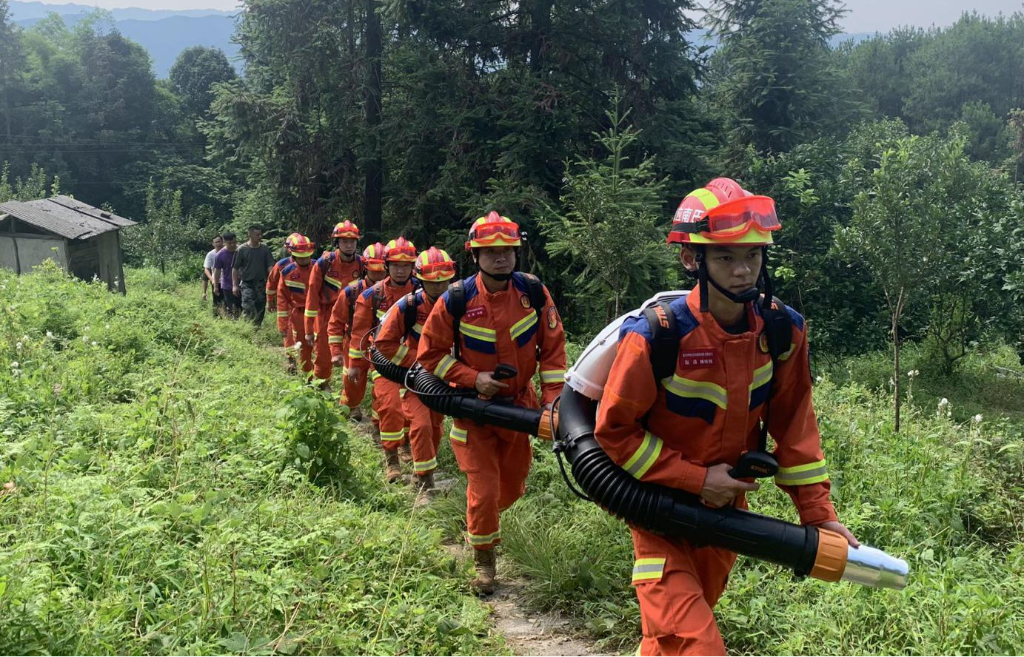 救援队员开展森林防火带装巡护。巴南区应急管理局供图 华龙网发