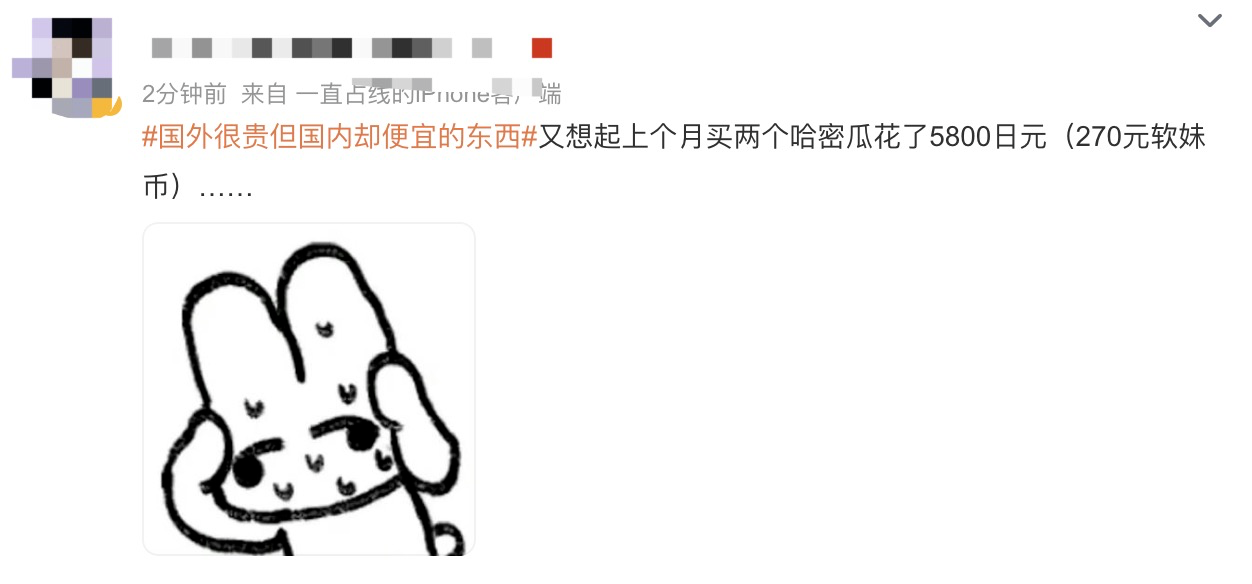 开眼了!800块的西瓜,200块的大蒜,它们在海外变“奢侈品”了?13