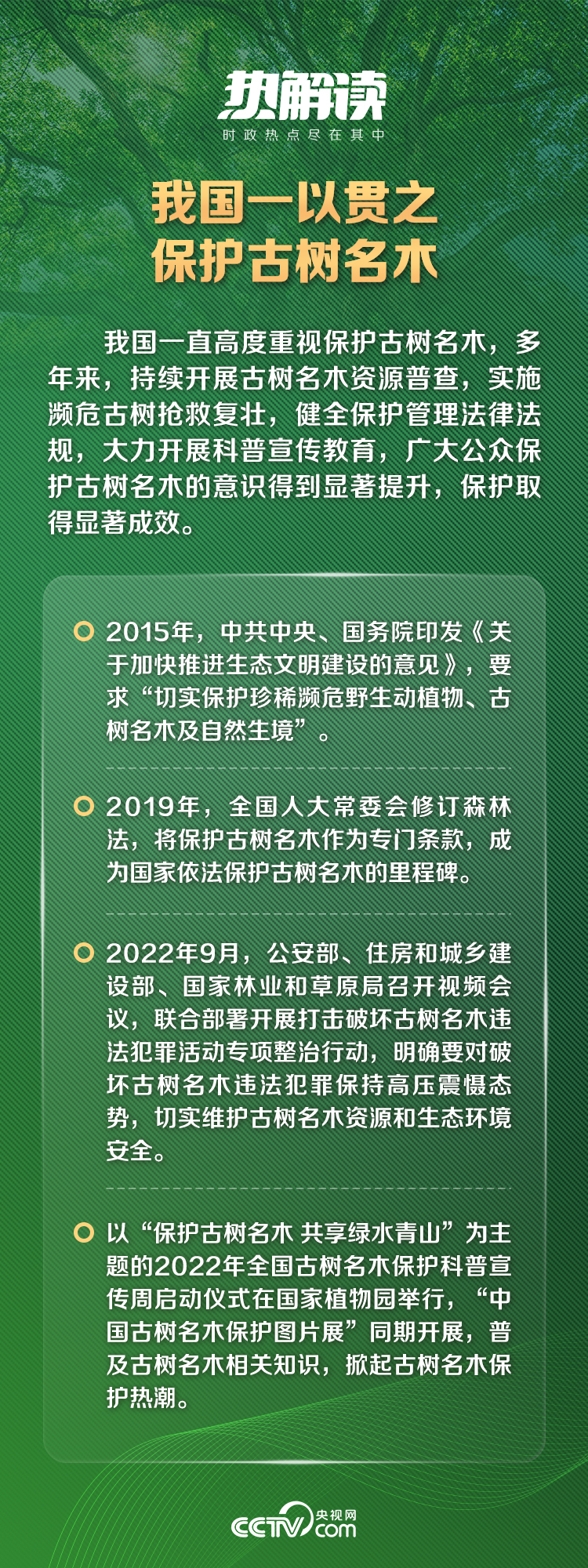 熱解讀｜千年蜀道滿眼綠 總書記凝望中的守護(hù)3