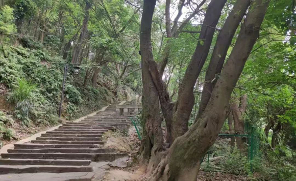 微信图片_20230729172906