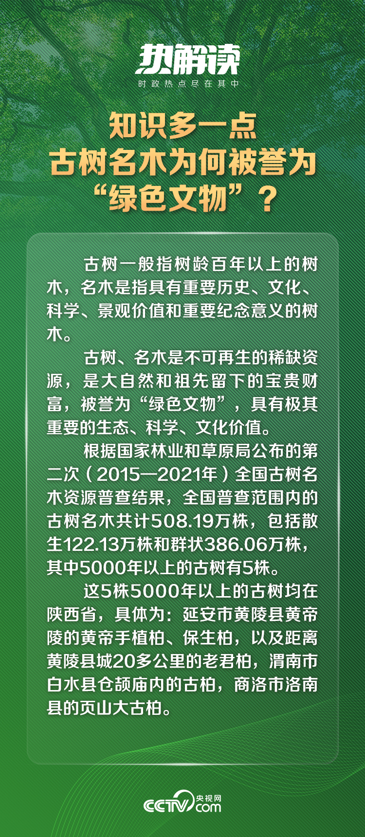 热解读｜千年蜀道满眼绿 总书记凝望中的守护2