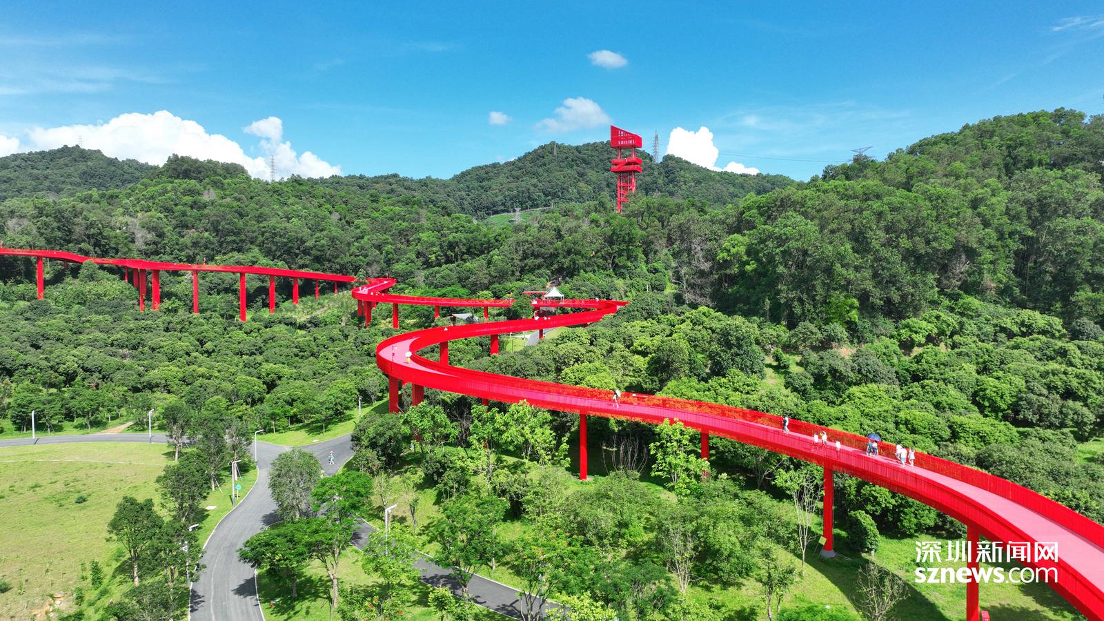 全国城市网媒总编辑到访光明 感受科学城创新蝶变4