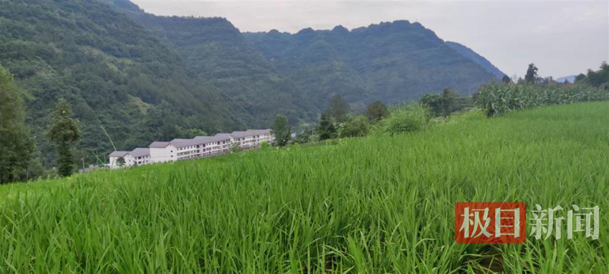 被巨石砸中的“渝A97G82”：6名遇难者中有人刚过15岁生日，有人和哥哥的通话被永远中断6
