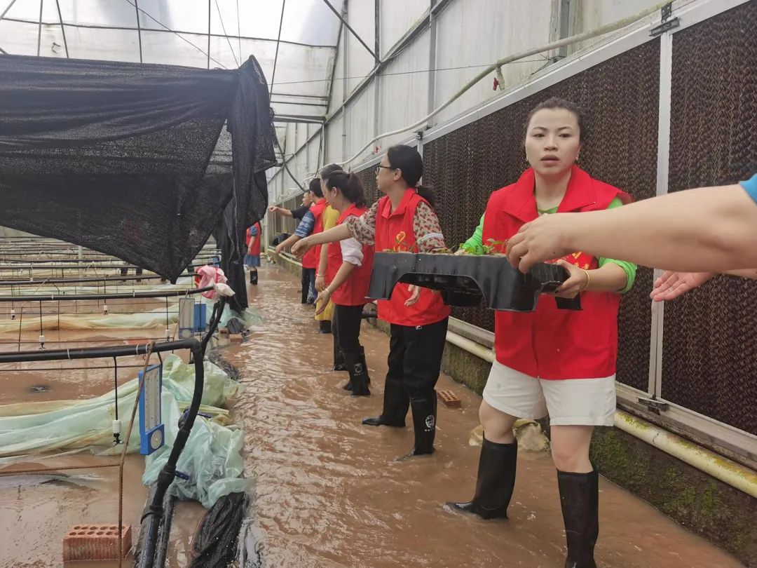 瓊江潼南段再現(xiàn)百年一遇洪水 全區(qū)上下眾志成城打贏防汛遭遇戰(zhàn)32