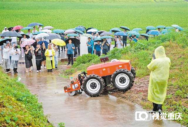 新品种新技术新装备助力农业现代化 重庆现代农业高科技园区“上新”