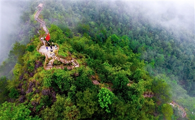 雨后的天宝寨森林公园云雾缭绕。记者 龚长浩 摄
