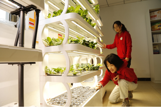 北京西樊各庄科技小院的学生在查看园艺种植机器中植物生长情况。受访者供图