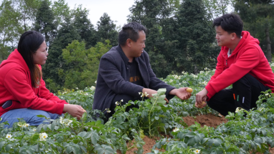 贵州省毕节市七星关区撒拉溪镇龙凤村，科技小院学生简宜伟等在指导村民进行马铃薯种植管护。受访者供图