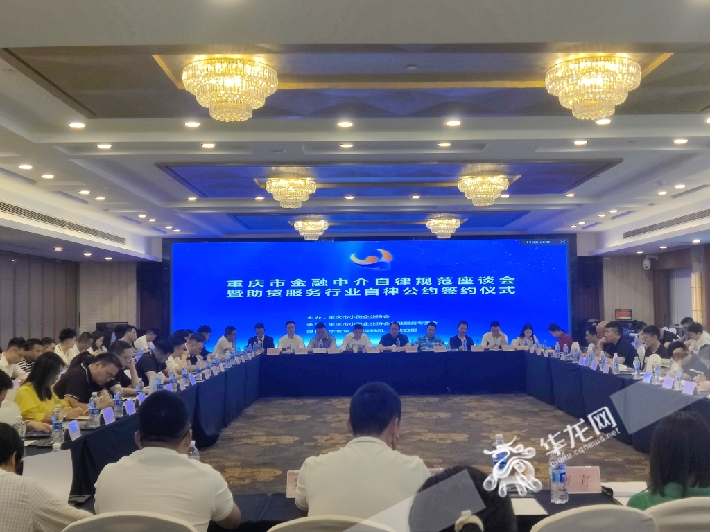 会议现场。华龙网–新重庆客户端 林红 摄
