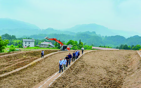 近日，郭扶镇退休老干部们实地调研全域土地综合整治项目。陈宗武 摄