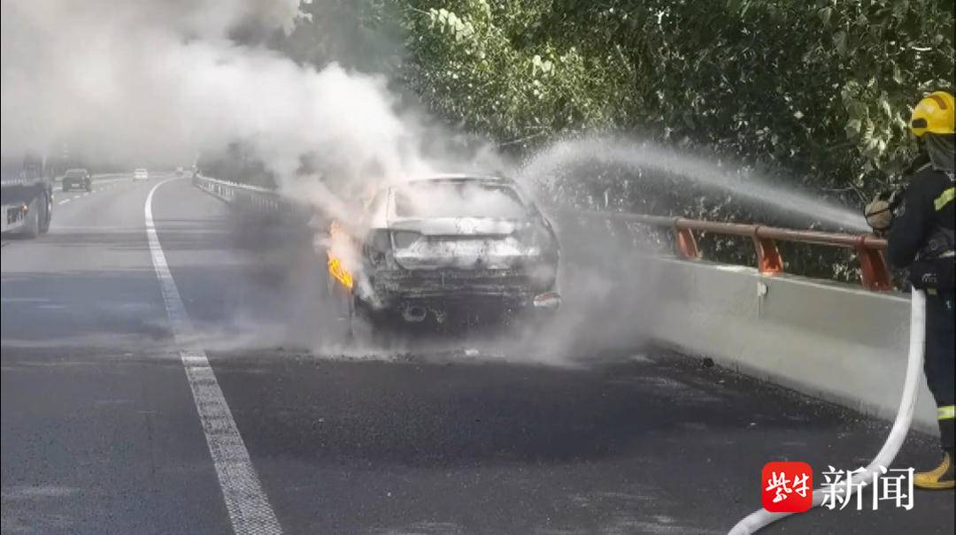 视频 |高速路上汽车自燃 “二师兄”被困，消防员灭火后主动给猪冲个澡2