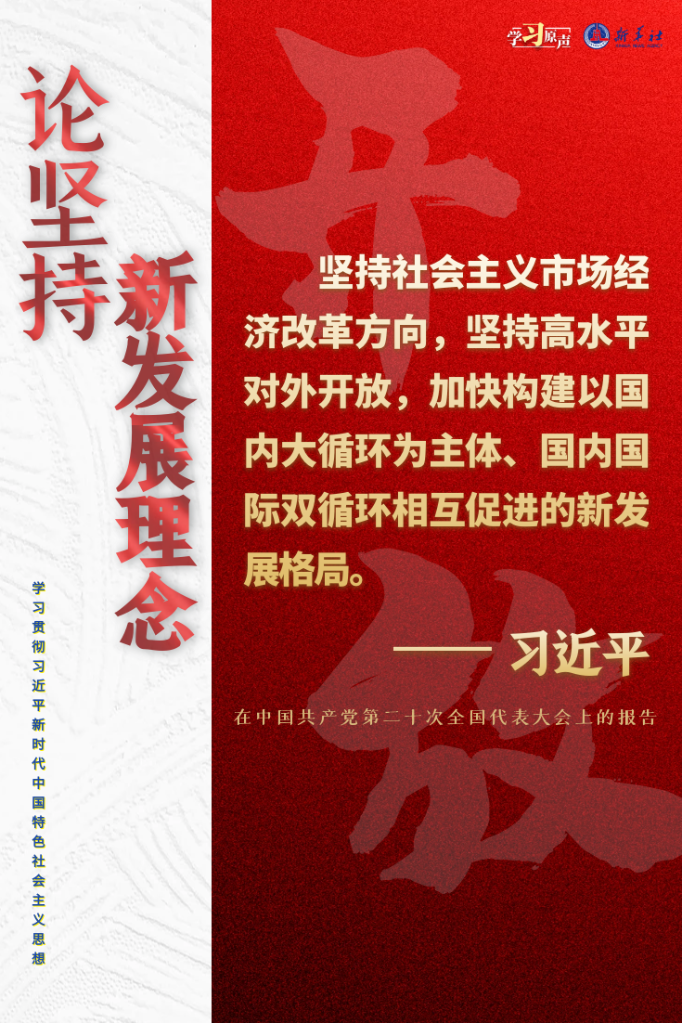 学习原声·聆听金句｜论坚持新发展理念5