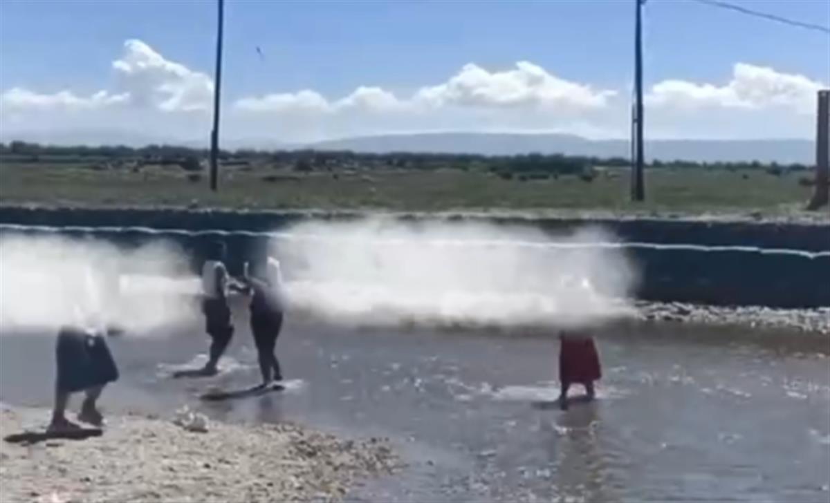 青海湖景区多人翻越围栏下水抓濒危物种湟鱼，还用木棍砸？当地已介入调查