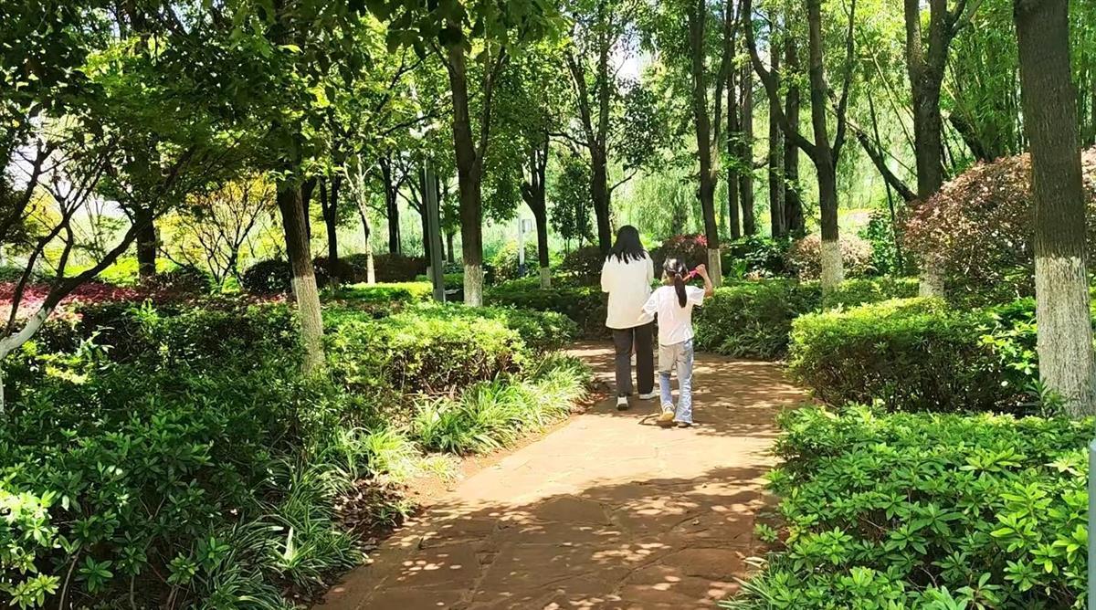 小伙离奇失踪半月 自称被仙人选中，家属出10万元寻子2