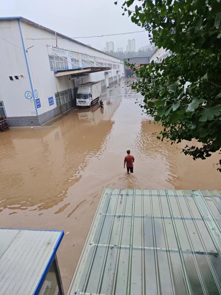 北方大量图书库房被淹，书业人：上亿元码洋的书，都没了2