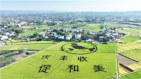 一幅让人怦然心动的田园画。通讯员 陈仕川 供图