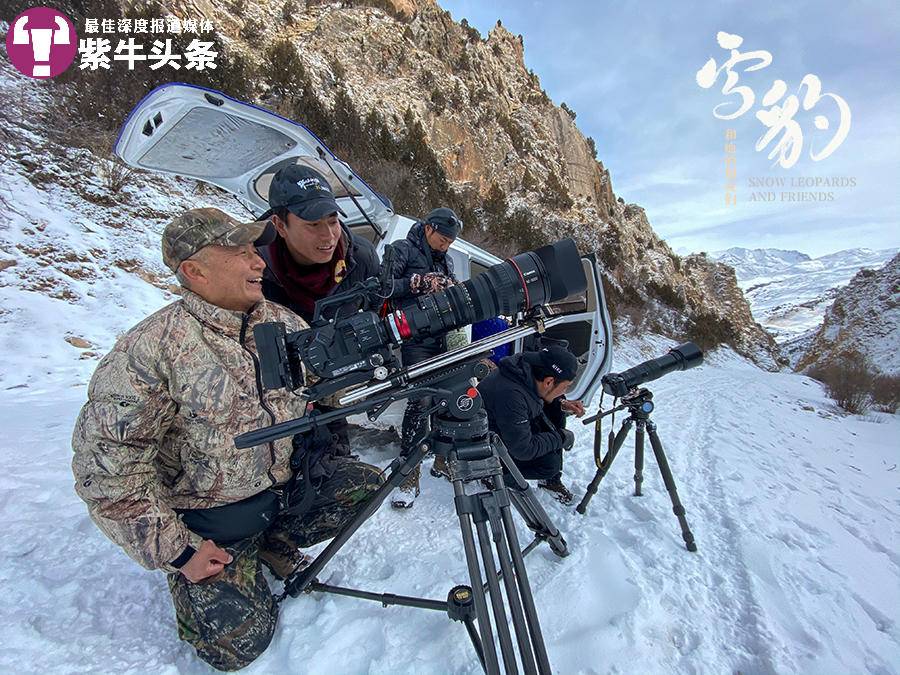 世界上第一部雪豹大电影，是摄影师和他的牧民朋友们花6年拍摄而成1