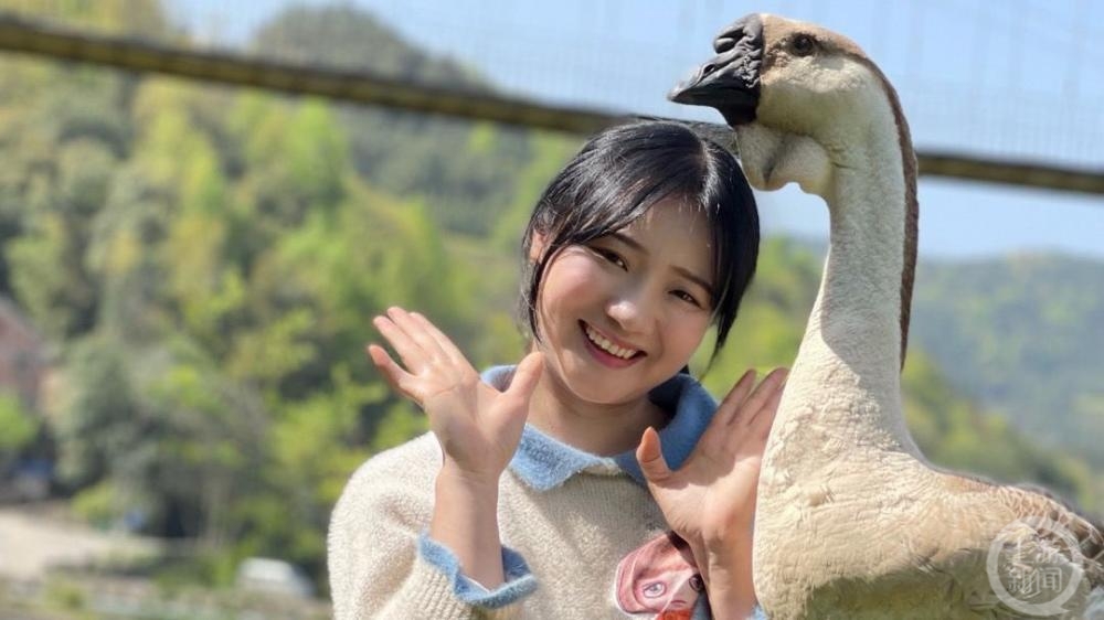 贵州女子养了两只“打工鹅”：取快递，背种子，还配合交警拍交通宣传视频1