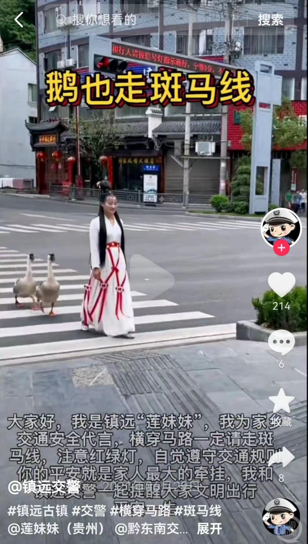 贵州女子养了两只“打工鹅”：取快递，背种子，还配合交警拍交通宣传视频5
