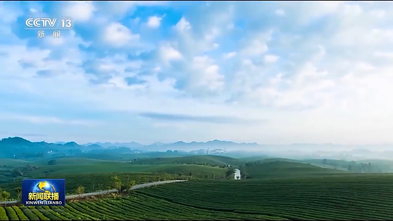 一草一木 念兹在兹 我们用绿色绘出美丽中国更新画卷5