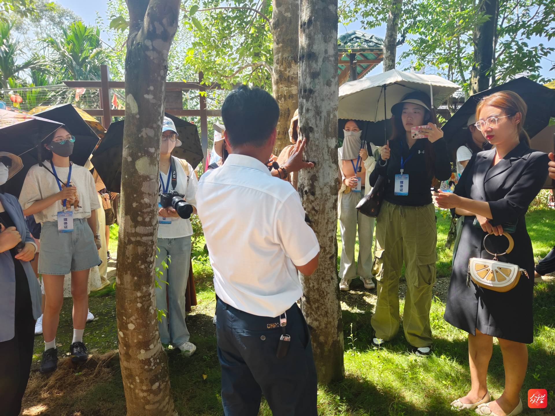 澄迈效古村发展沉香产业助力乡村振兴1