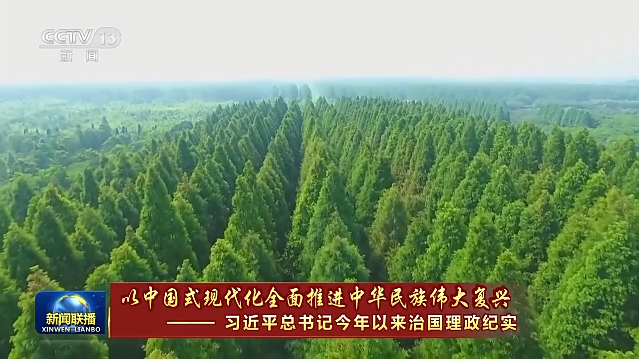 一草一木 念兹在兹 我们用绿色绘出美丽中国更新画卷6