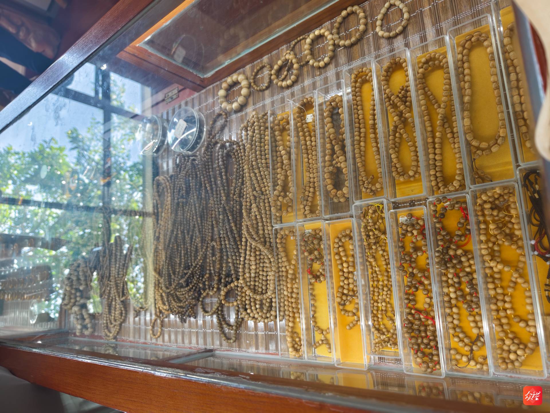 澄迈效古村发展沉香产业助力乡村振兴2