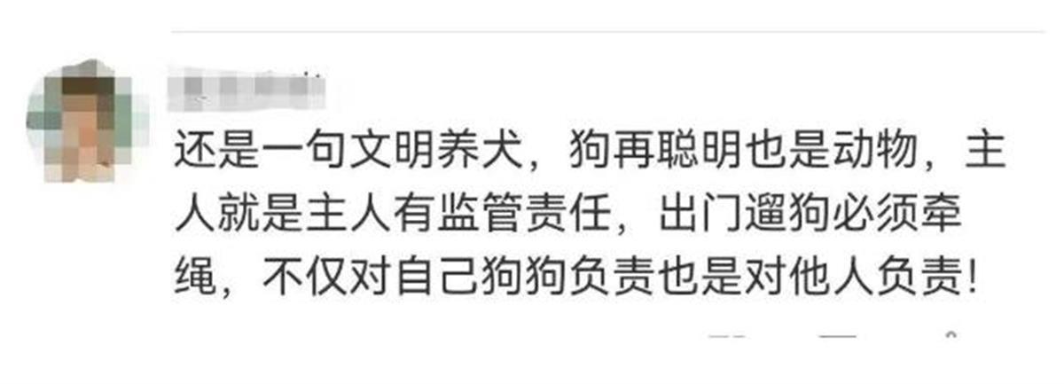 女子抱宠物犬被金毛扑倒咬伤,当事双方已和解,网友:遛狗必须牵绳3