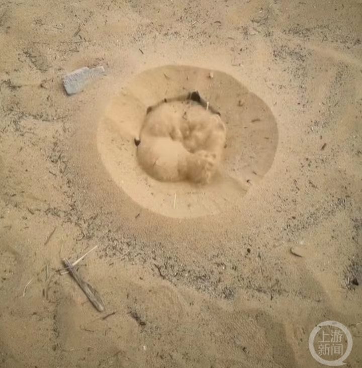 内蒙古一地现“趵沙泉”,当地政府:地下有气体喷了几十年,最高达几米