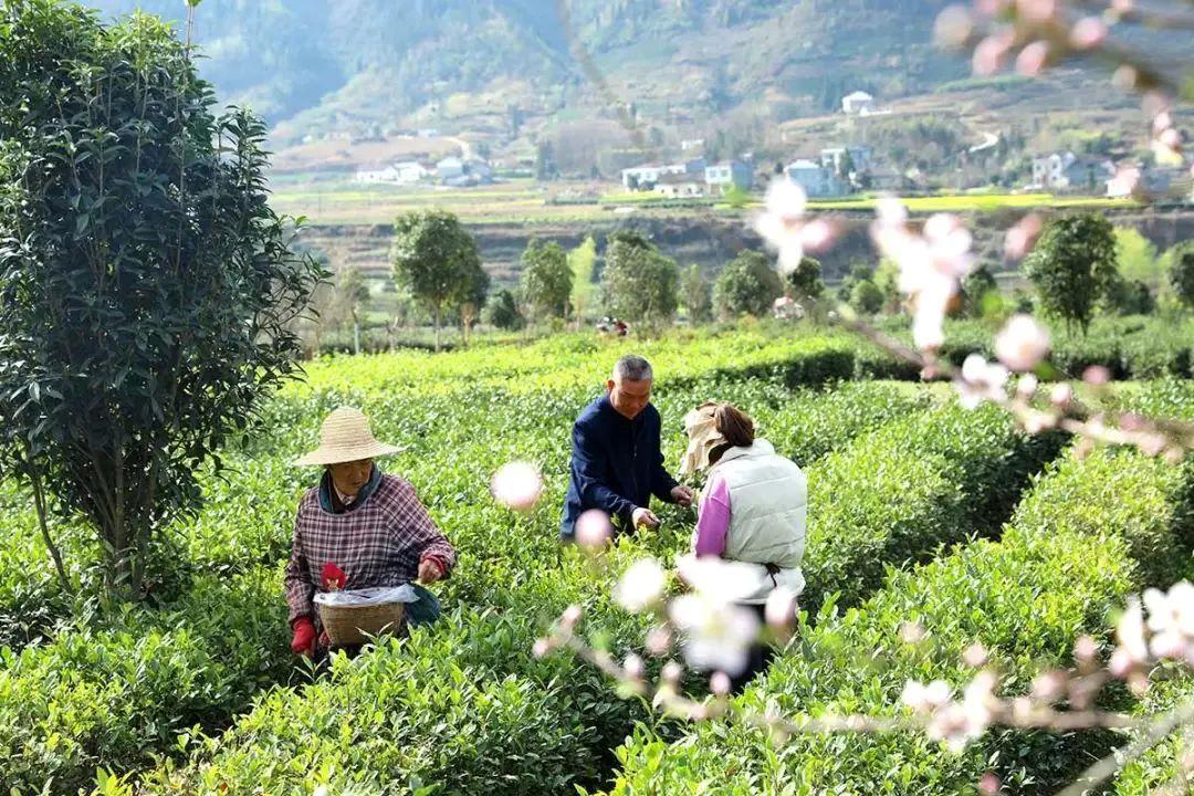 ​美丽中国｜厚植绿色发展底色7