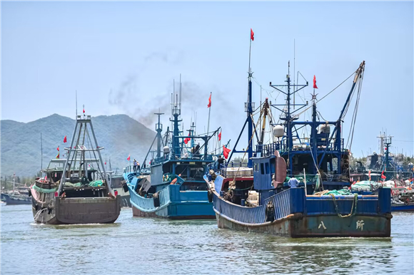 停靠在三亚崖州中心渔港码头的近百艘渔船朝着南海的方向破浪而行。南海网供图
