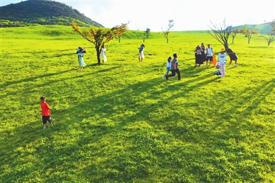 游客在菖蒲大草原乐享清凉。陈碧生 摄