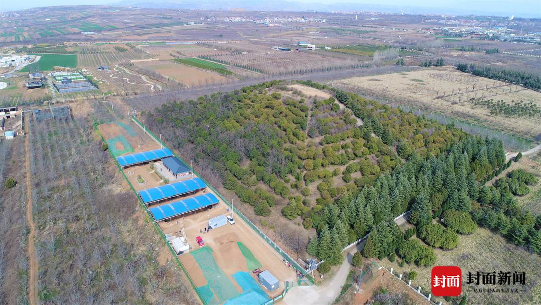 汉文帝皇家苑囿什么样？霸陵考古揭秘：有大熊猫、亚洲貘，还配有“饲养员”1