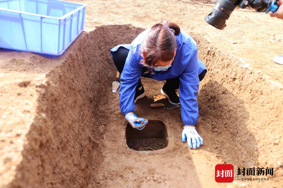 汉文帝皇家苑囿什么样？霸陵考古揭秘：有大熊猫、亚洲貘，还配有“饲养员”2