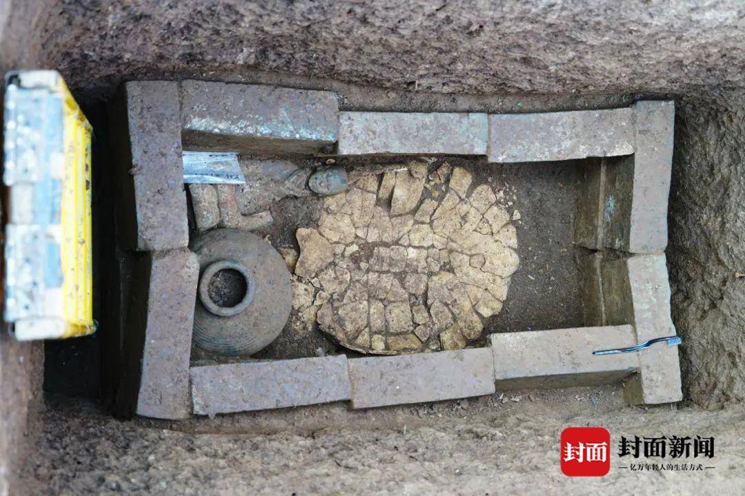 汉文帝皇家苑囿什么样？霸陵考古揭秘：有大熊猫、亚洲貘，还配有“饲养员”5