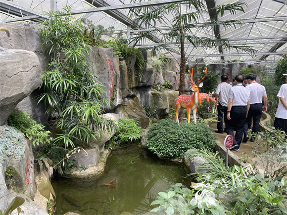 3在重庆市药物种植研究所，专家服务团正在参观。华龙网-新重庆客户端记者 张馨月 摄