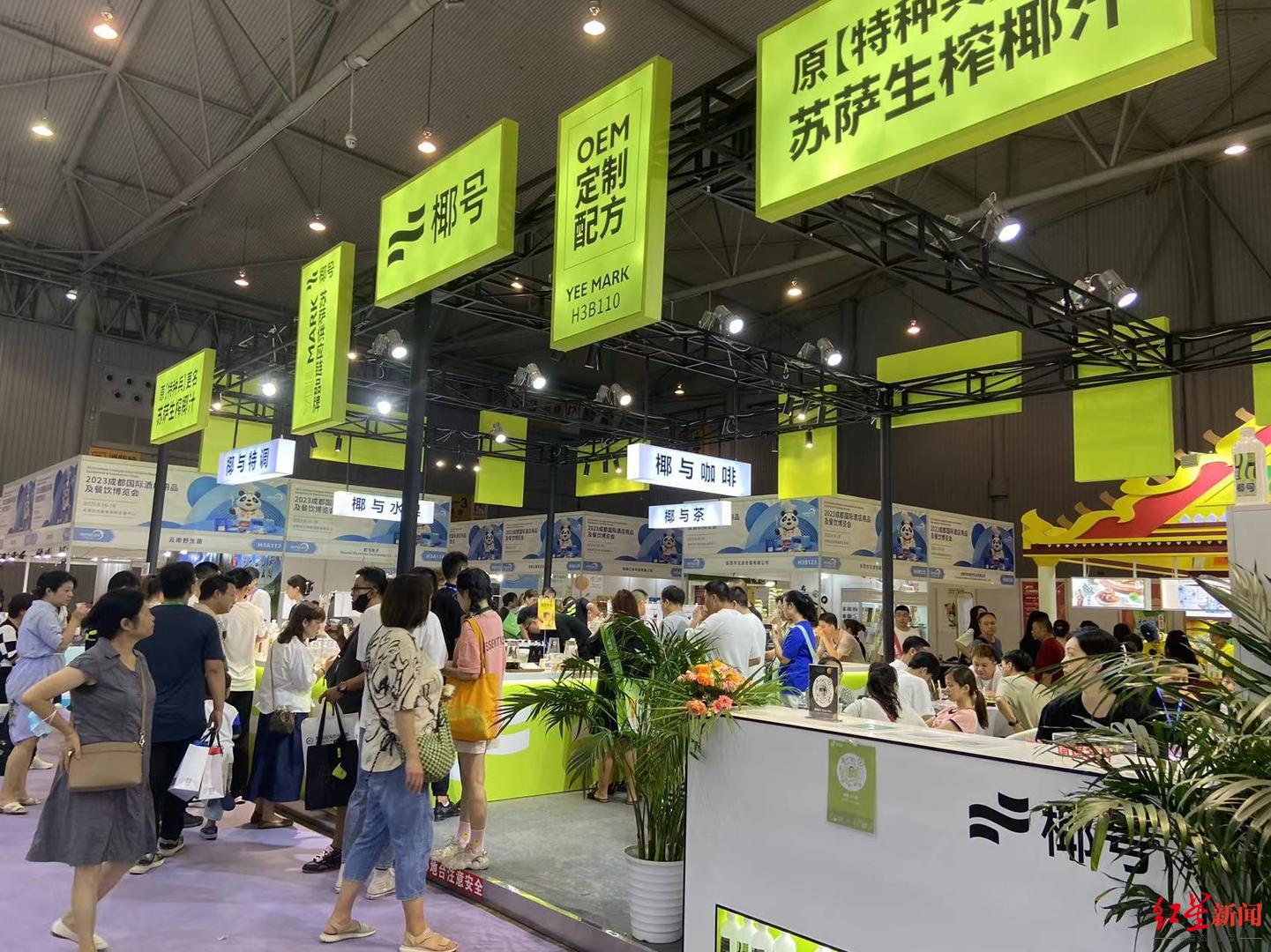 “椰风”正劲！进口青椰一年超百万吨，饮品行业为何盯上椰子？2