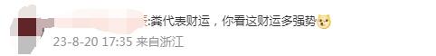 小车被运粪货车追尾灌一车粪便，小车司机：车里头驾驶室里全是粪，我人在医院3