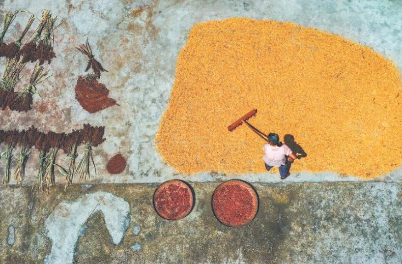 仁贤街道白鹤村，村民将高粱、玉米、辣椒等晾晒在院坝，铺展出一幅色彩斑斓的丰收画卷。 记者 熊伟 摄