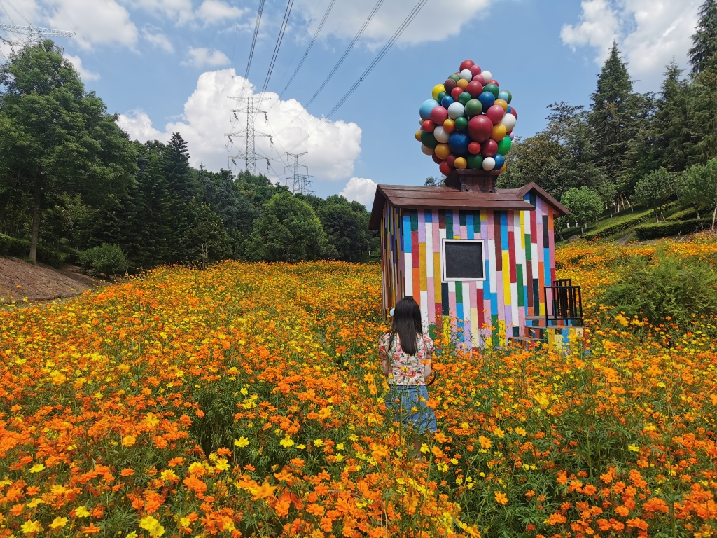 A visitor takes photos in the sea of flowers. (Photo provided by Garden Expo Park)