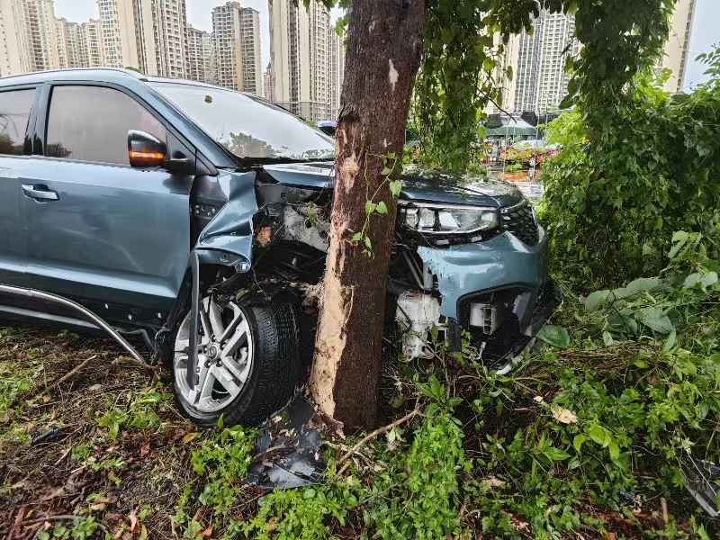 一男子酒驾撞树后让妻子赶来顶包，夫妻双双受处罚