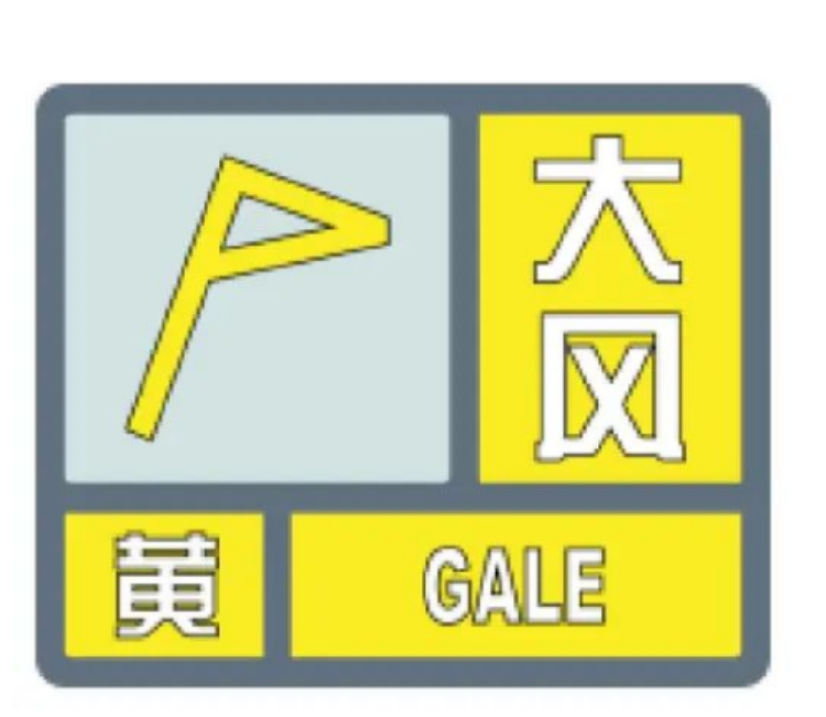 最大9级！重庆多地发布大风预警 赶紧关好门窗2