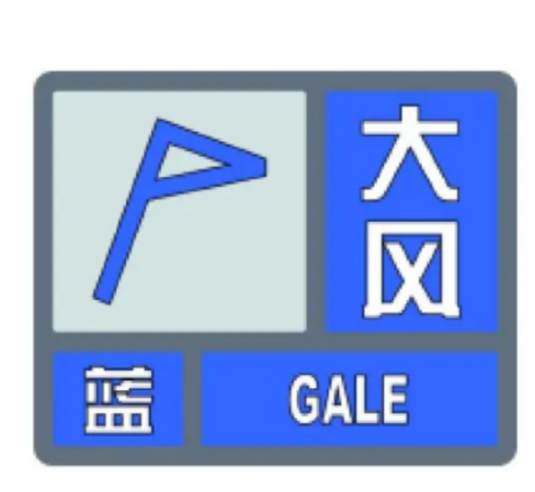 最大9级！重庆多地发布大风预警 赶紧关好门窗3